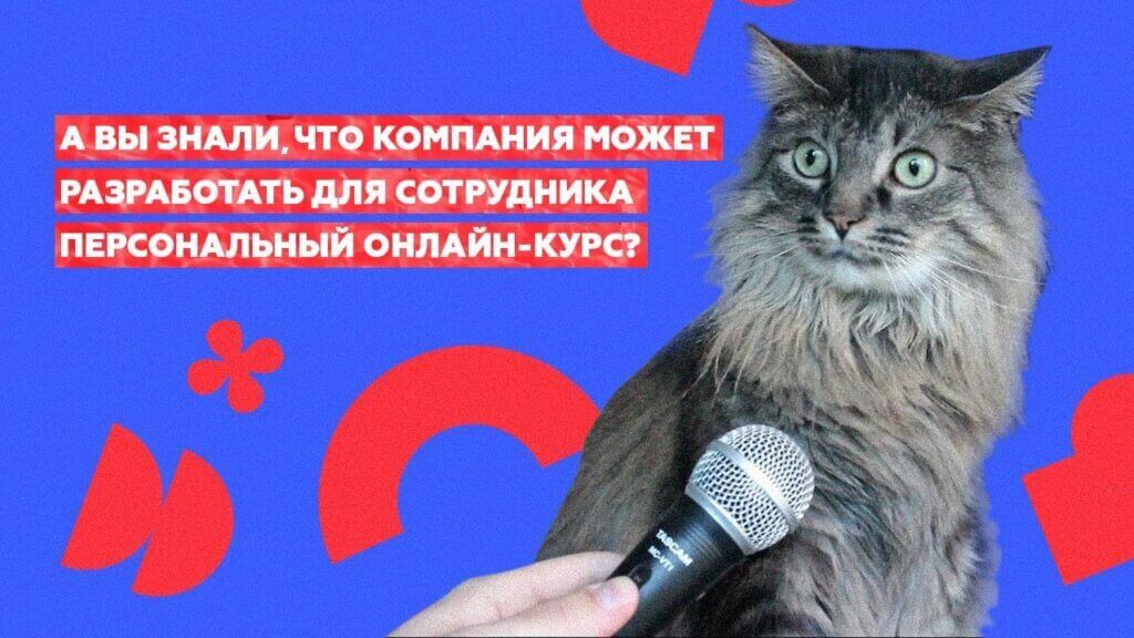 Как создать персонализированный онлайн курс Как создать персонализированный онлайн курс