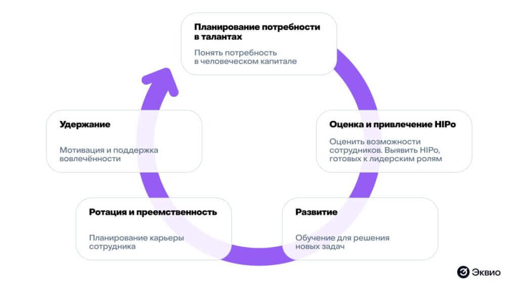 Схема управления талантами в организации Схема управления талантами в организации
